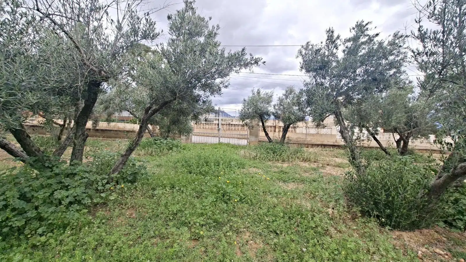 Wohnbaugrundstück zum Verkauf in CABO PALOS-RB ROLLET, imagen 5