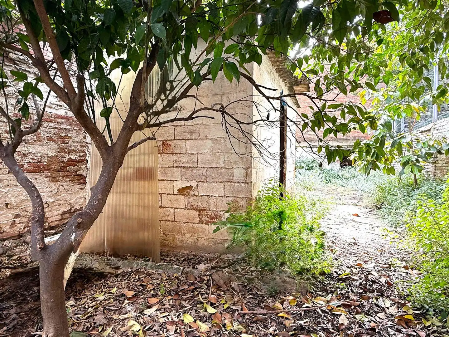 Exterior view of Houses for sale in Sant Boi de Llobregat  with Private garden, Terrace and Storage room