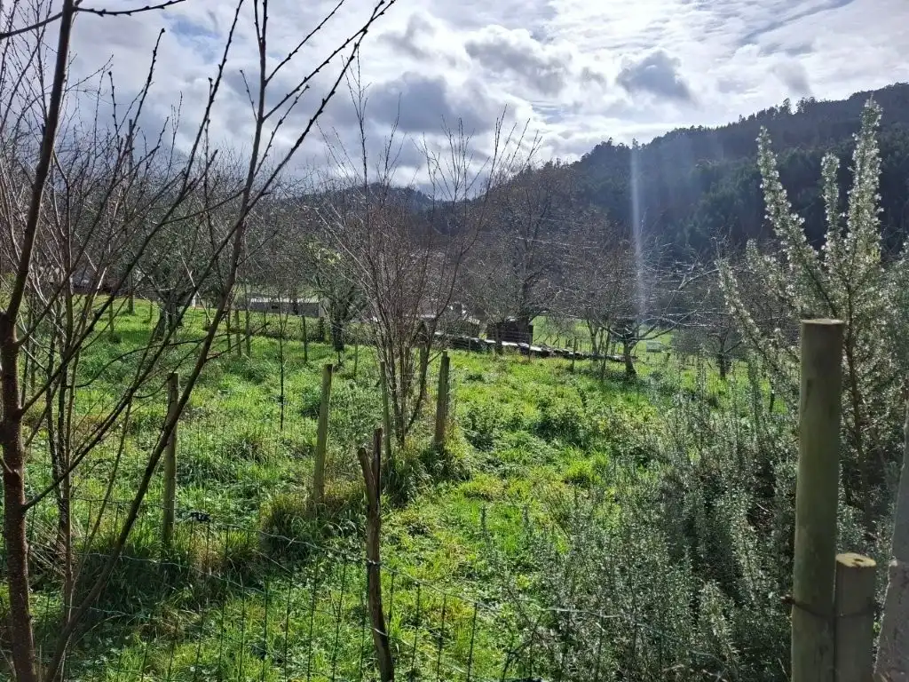 Casa o chalet en venta en Viveiro con Jardín privado, Terraza y Trastero