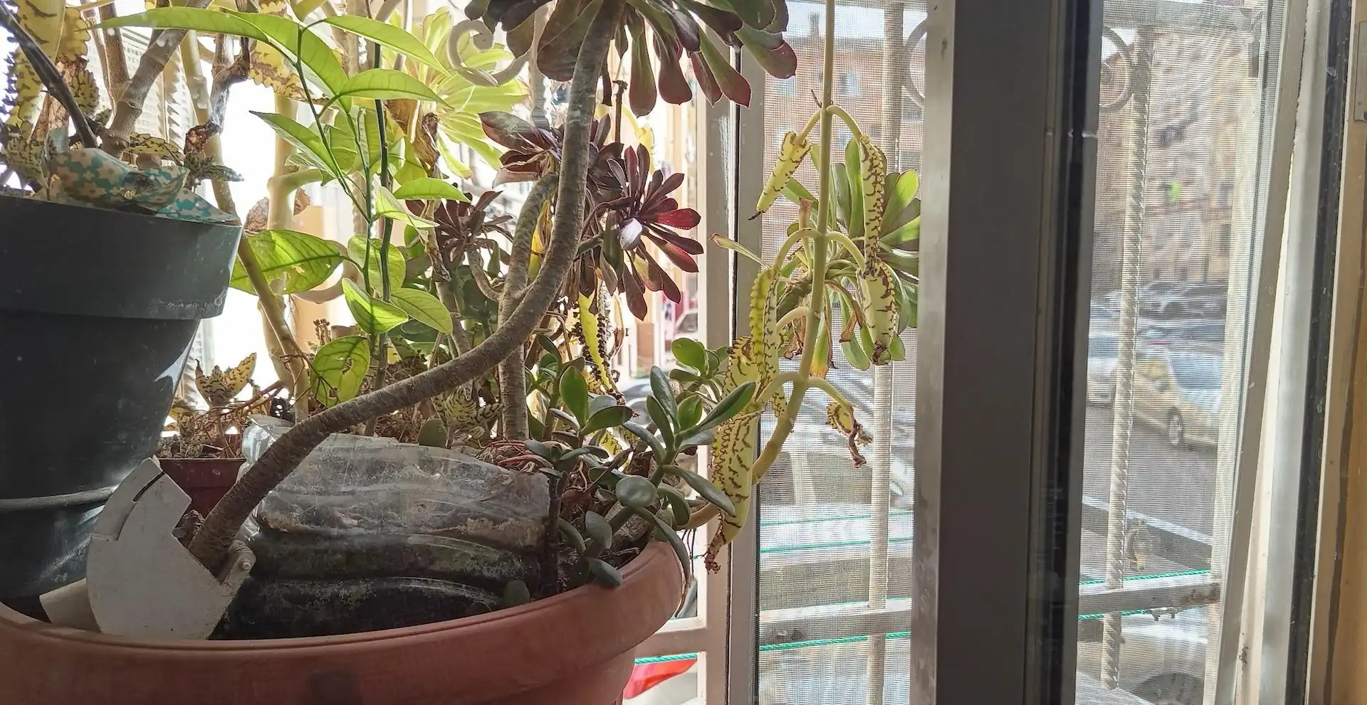 Balcony of Flat for sale in Zaragoza  with Heating