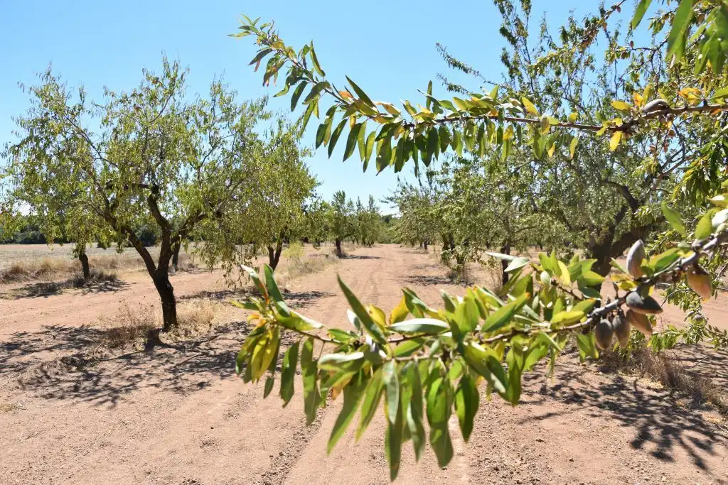 Terreni e lotti in vendita a Cretas, imagen 4