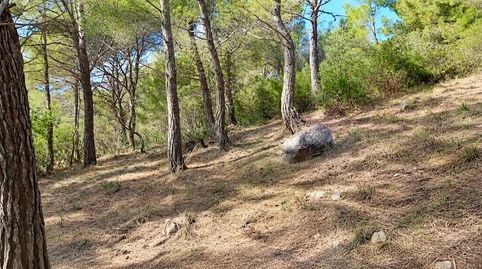 Foto 5 de Residencial en venta en Canyamel, Capdepera