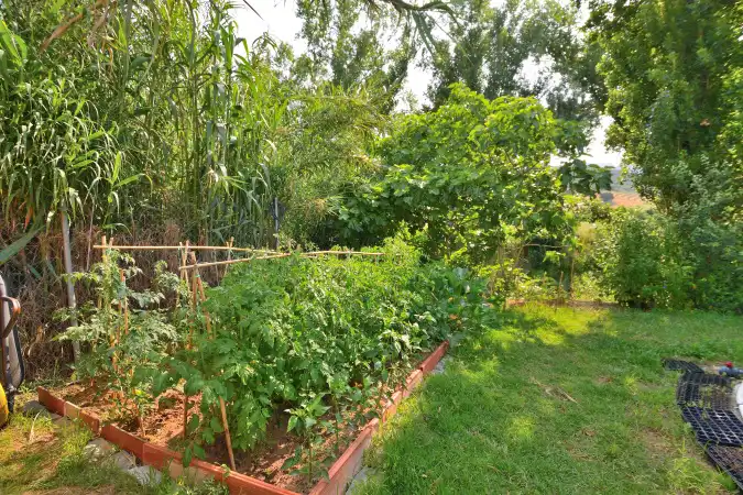 Garten von Grundstücke zum Verkauf in Cortes de la Frontera