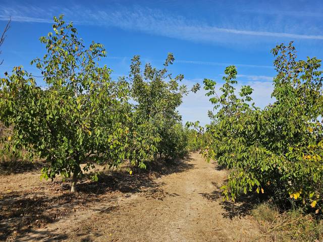 Terreno en Venta en Gandesa