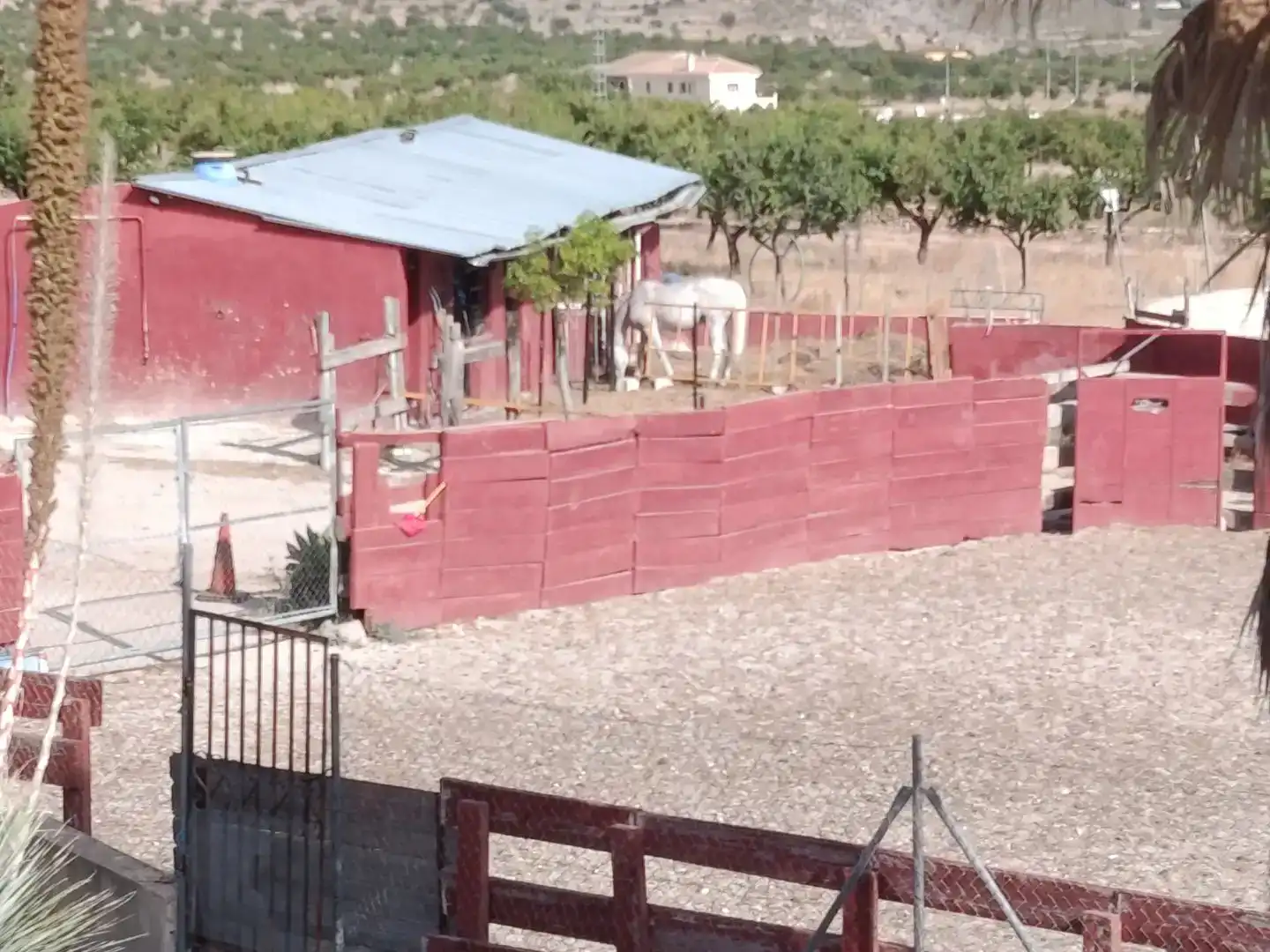 Piso en venta en Barbarroja, 277, La Murada - Los Vicentes