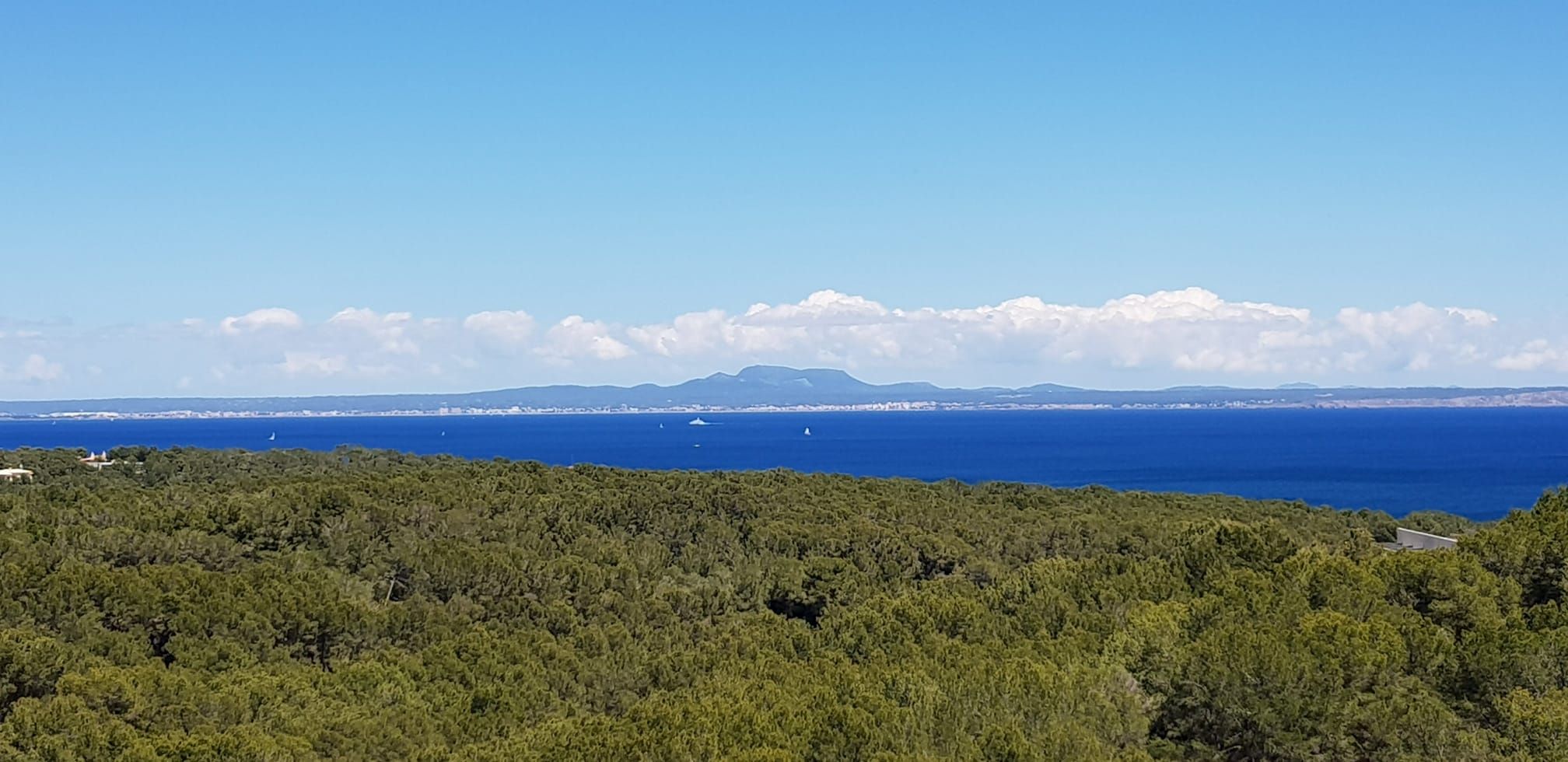 Apartament en venda en Calvià amb Aire condicionat i Piscina