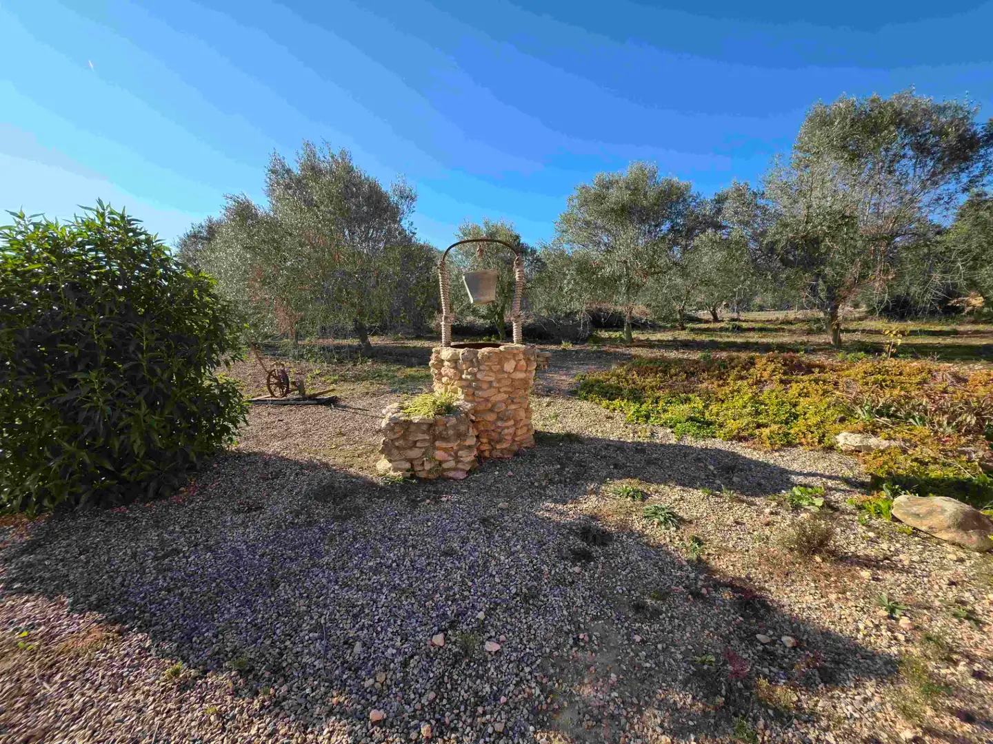 Jardín de Casa o chalet en venta en Valls con Jardín privado y Piscina