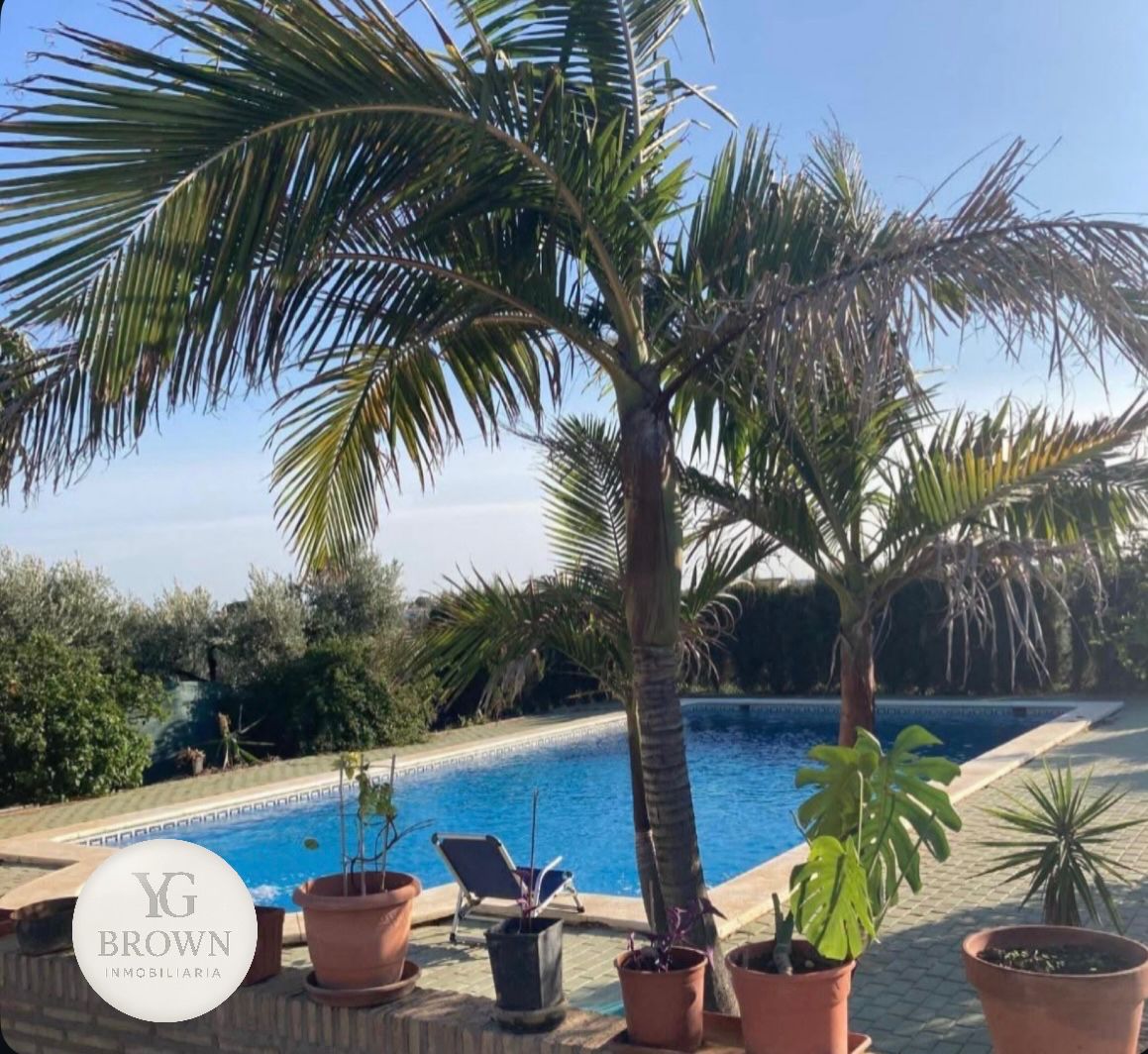 Swimming pool of House or chalet for sale in  Huelva Capital  with Terrace and Swimming Pool