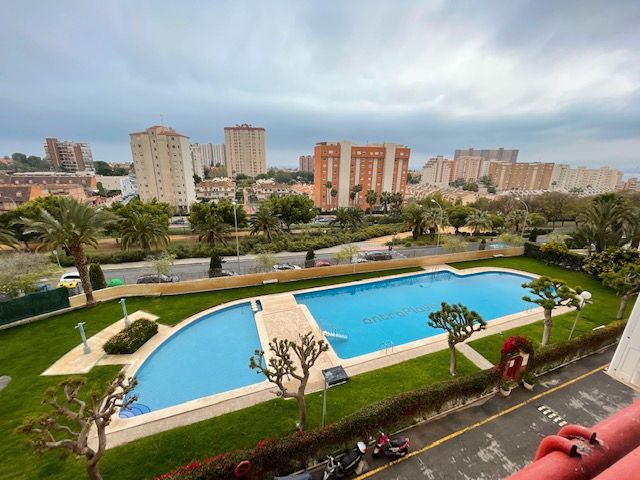 Swimming pool of Flat to rent in Alicante / Alacant  with Air Conditioner, Heating and Community pool