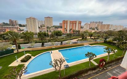 Swimming pool of Flat to rent in Alicante / Alacant  with Air Conditioner, Heating and Community pool