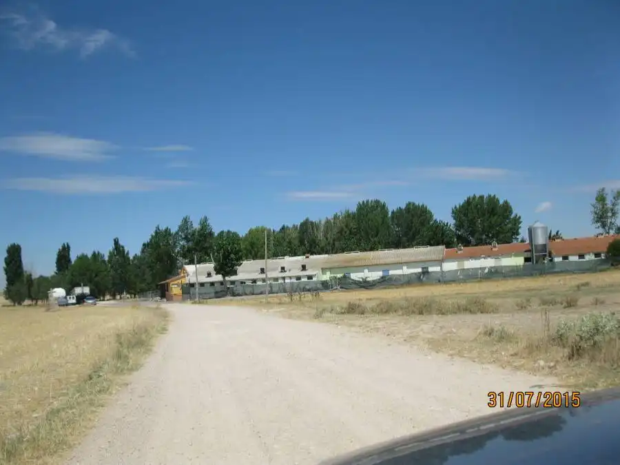 Vista exterior de Finca rústica en venta en Fuentepelayo