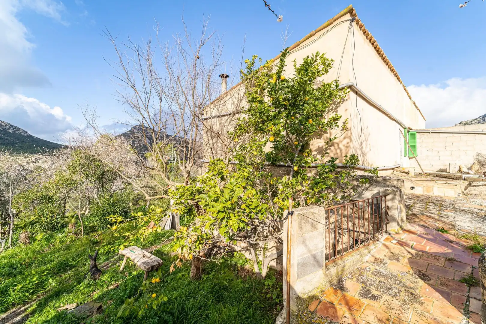 Casa con jardín en venta en Andratx pueblo, imagen 11