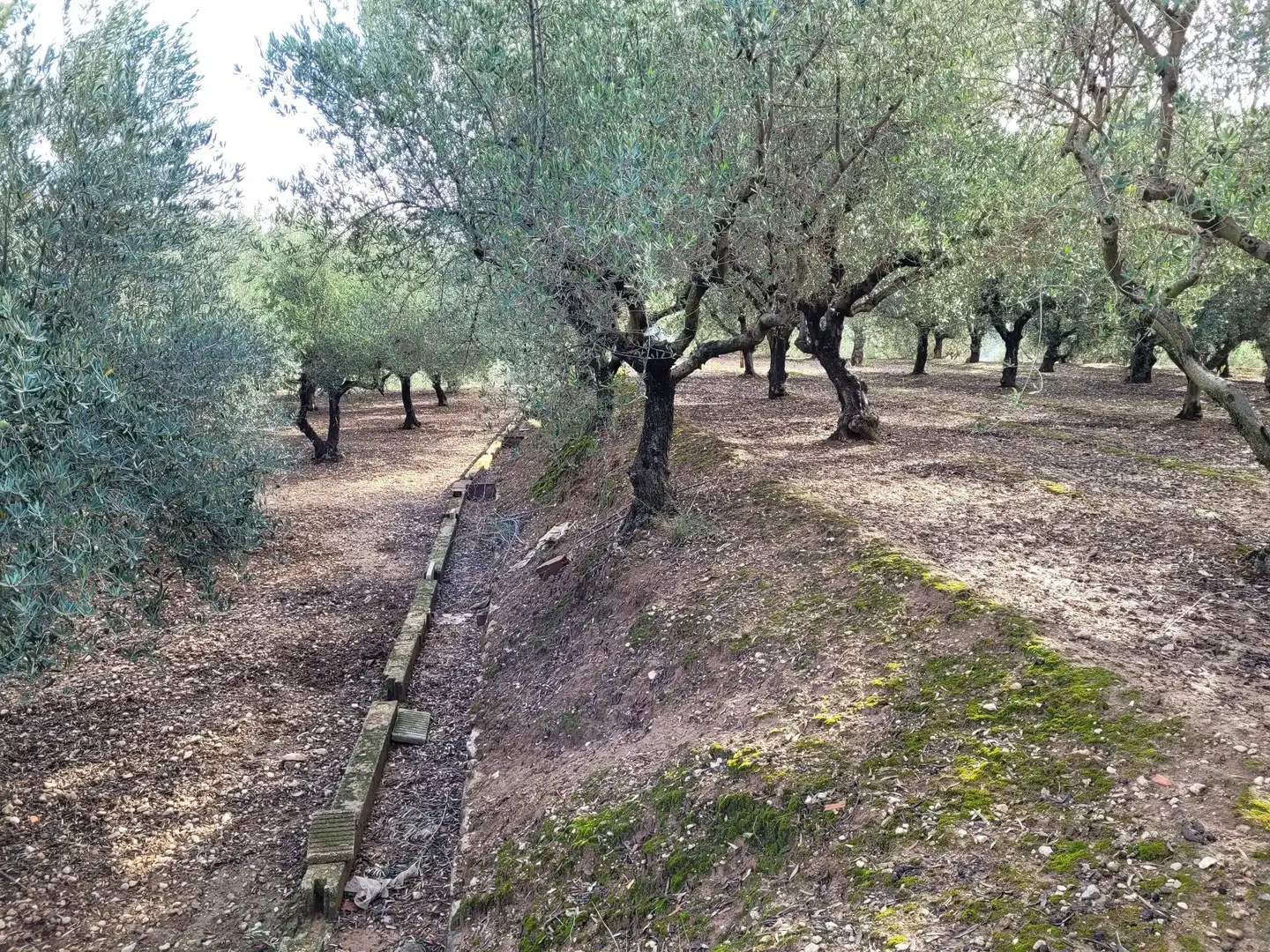 Casa o xalet en venda a Cocentaina