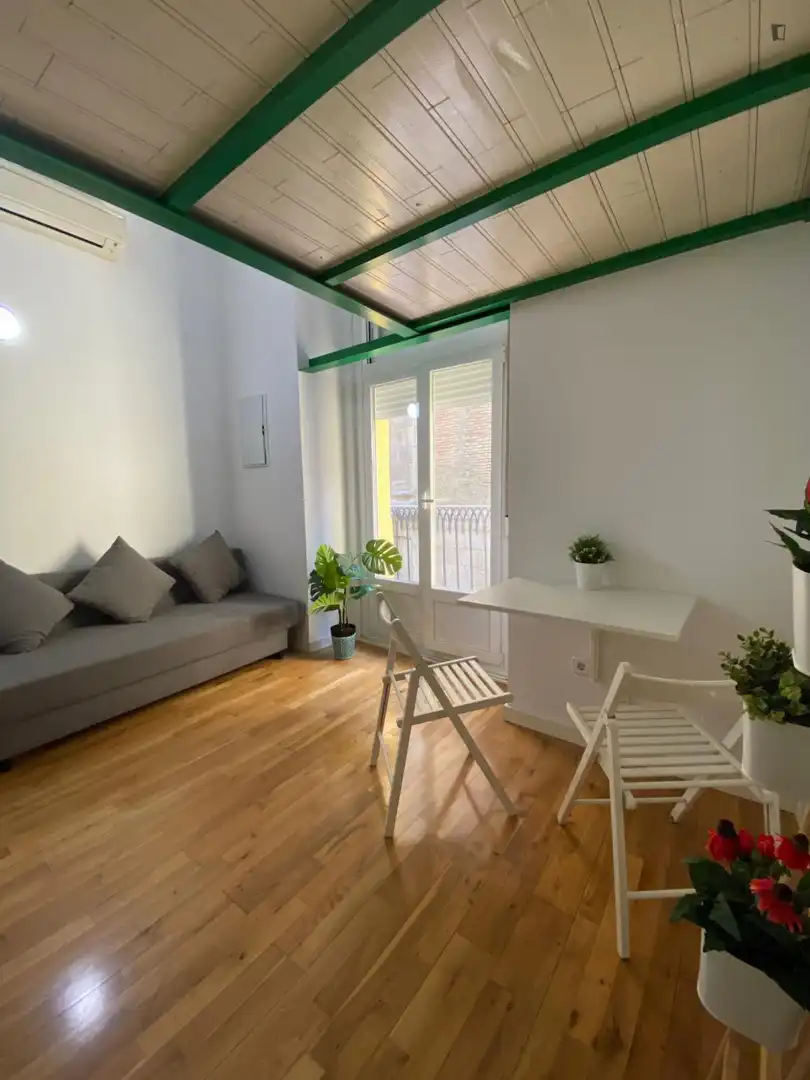 Estudio en alquiler en Centro, imagen 6