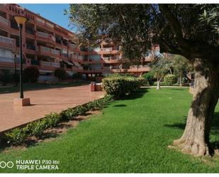 Vista exterior de Pis en venda en El Ejido amb Aire condicionat, Jardí privat i Terrassa