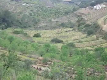 Terreny residencial en venda a Zona Pueblo