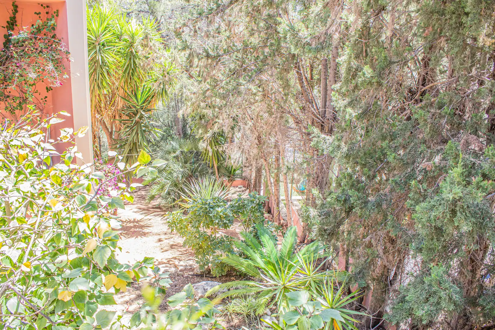 Garten von Einfamilien-Reihenhaus zum Verkauf in Calvià mit Klimaanlage, Heizung und Terrasse