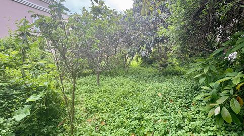 Photo 4 of Residential for sale in La Perdoma - San Antonio - Benijos, La Orotava