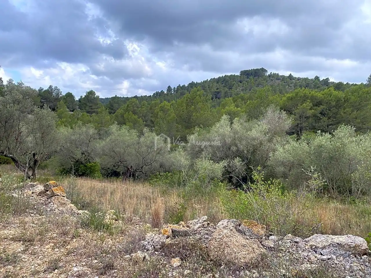 Terreno rustico in vendita a Malladetes, imagen 17