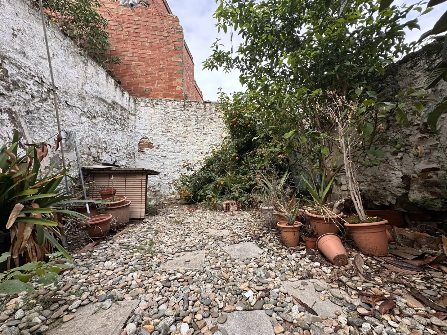 House with garden for sale in Centre, imagen 14