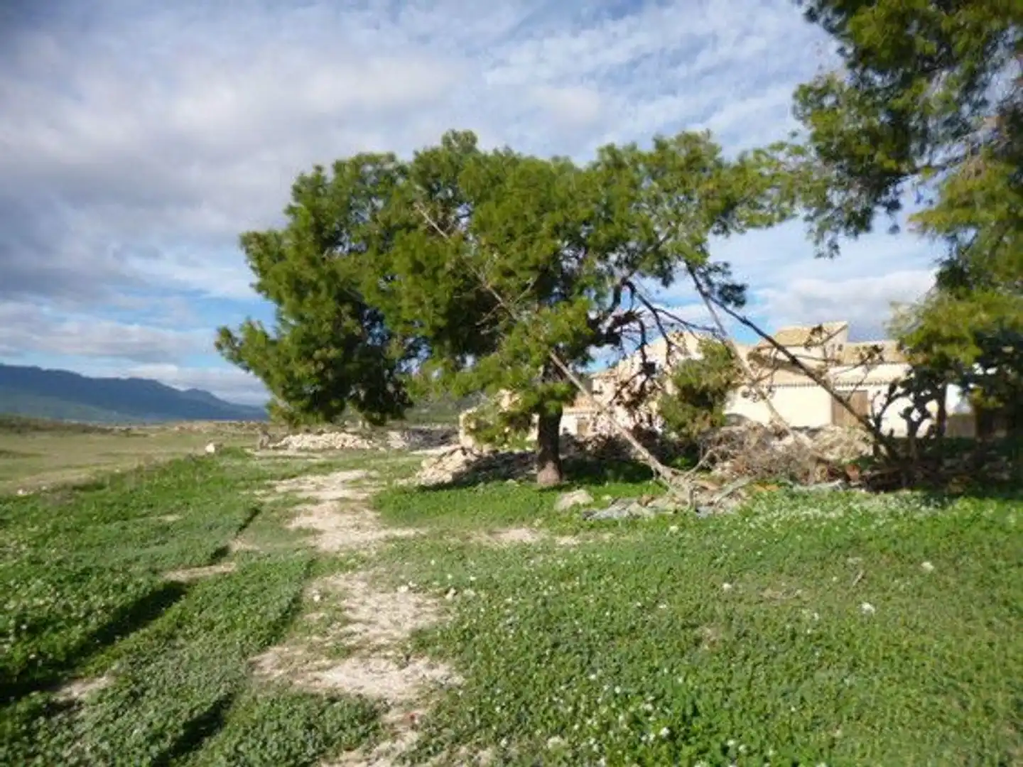 Immobili singolari in vendita a Moratalla, imagen 4
