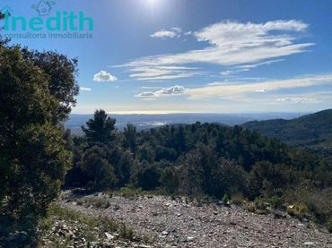 Terrenos y solares en venta en TOSAL GROS DE MIRAMAR