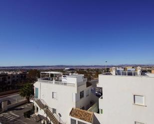 Vista exterior de Casa o xalet en venda en Torrevieja amb Aire condicionat, Terrassa i Piscina