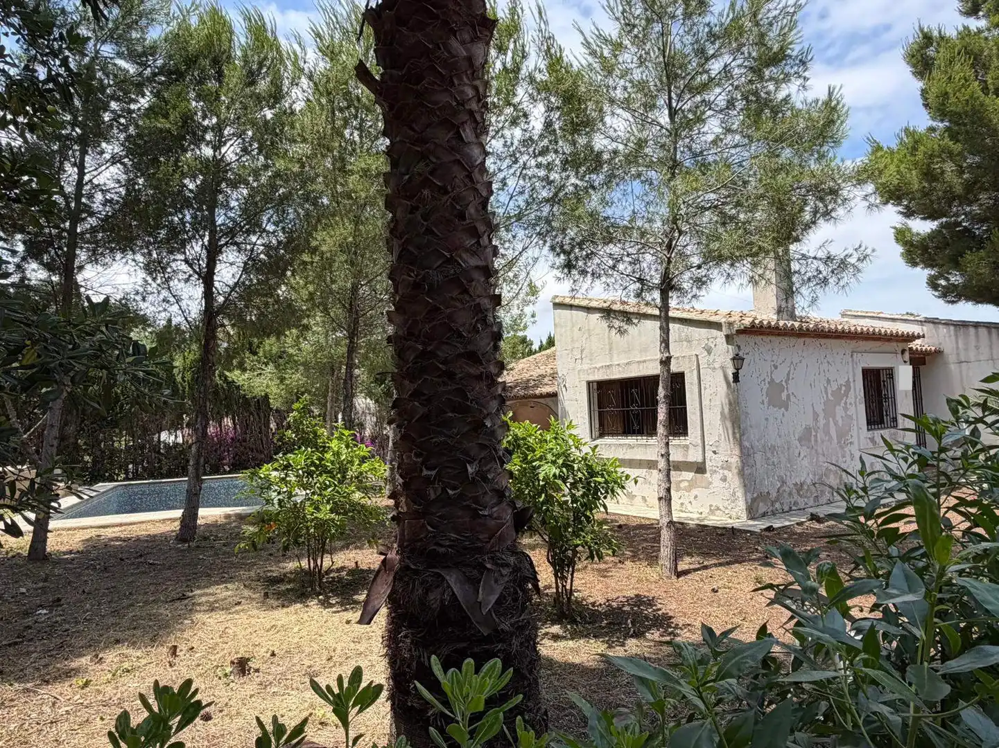 Vista exterior de Casa o xalet en venda en Jávea / Xàbia amb Jardí privat i Piscina