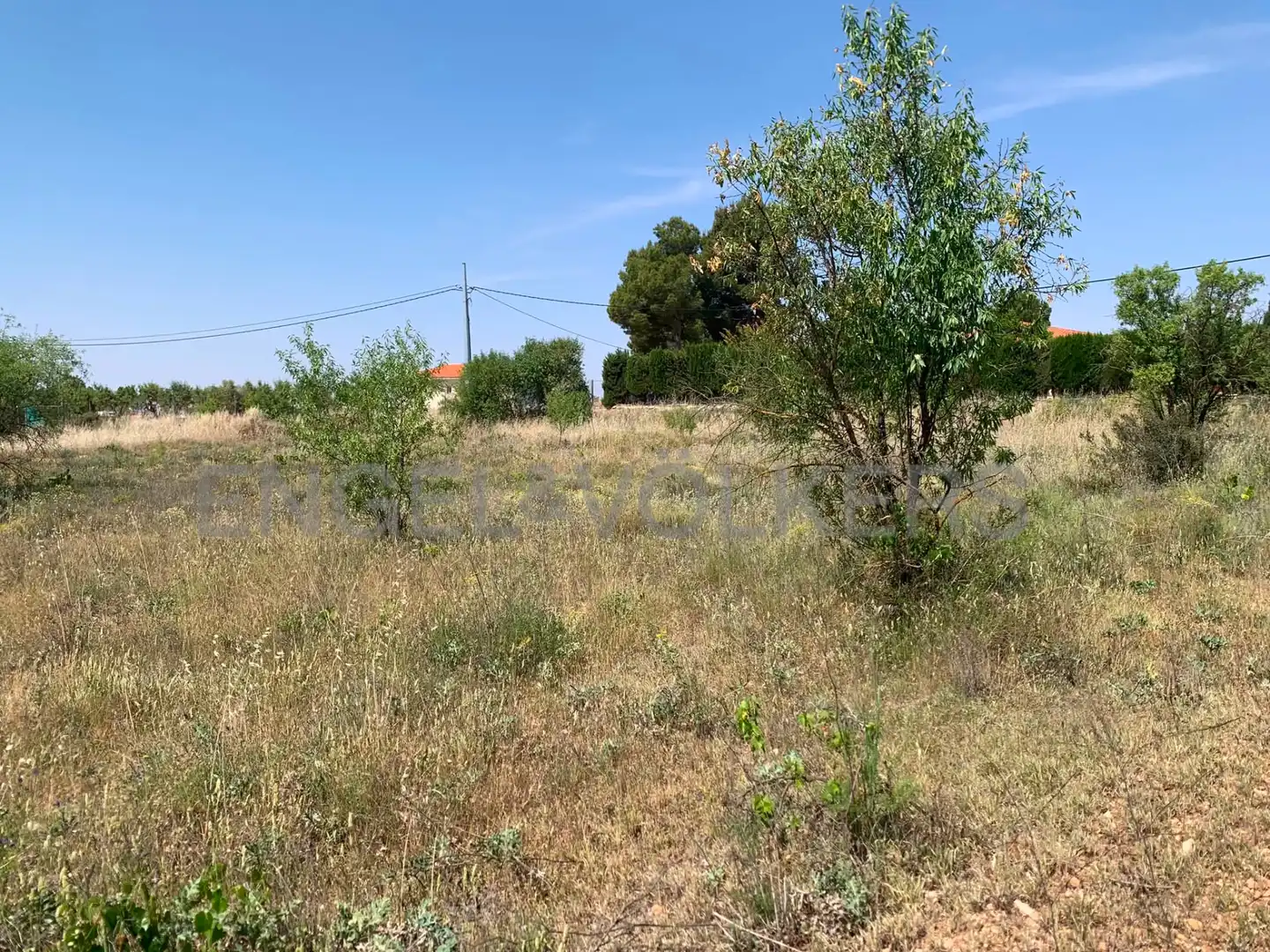 Terreny rústic en venda a Requena, imagen 12
