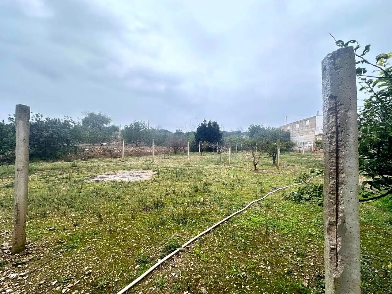 Fabrikhallen zum Verkauf in Tortosa