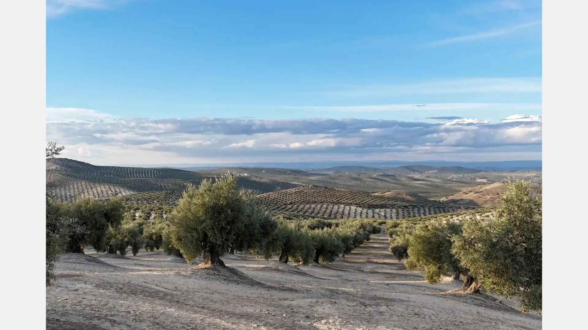 Vista exterior de Terreno en venta en Torredelcampo