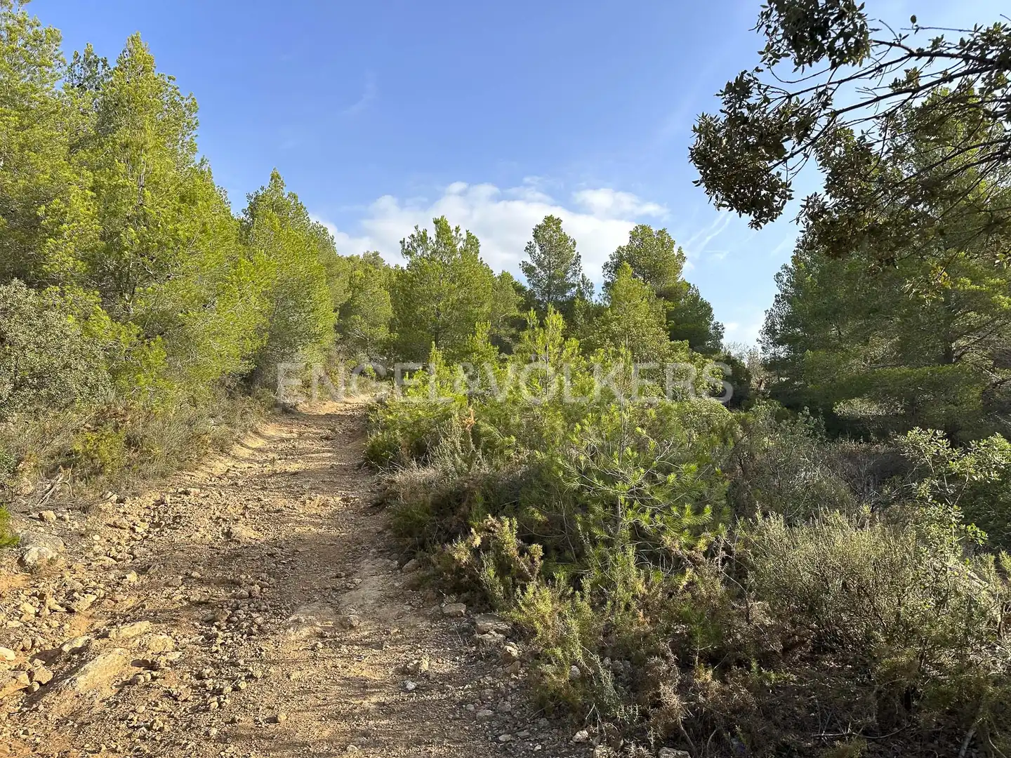 Residential land for sale in Torrelles de Foix, imagen 3