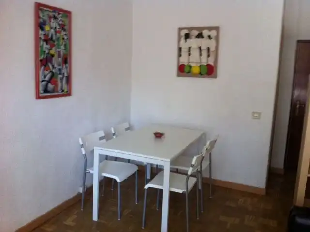 Comedor de Piso de alquiler en Madrid con Calefacción, Parquet y Terraza