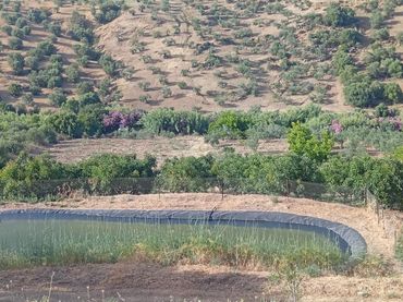 Terreno rustico in vendita a Tolox