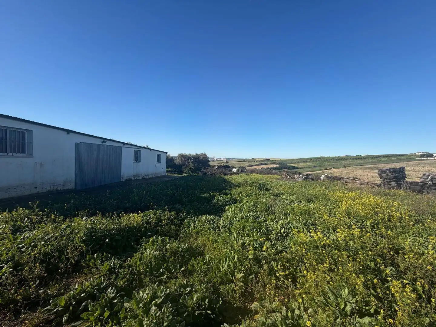 Country homes for sale in Arcos de la Frontera