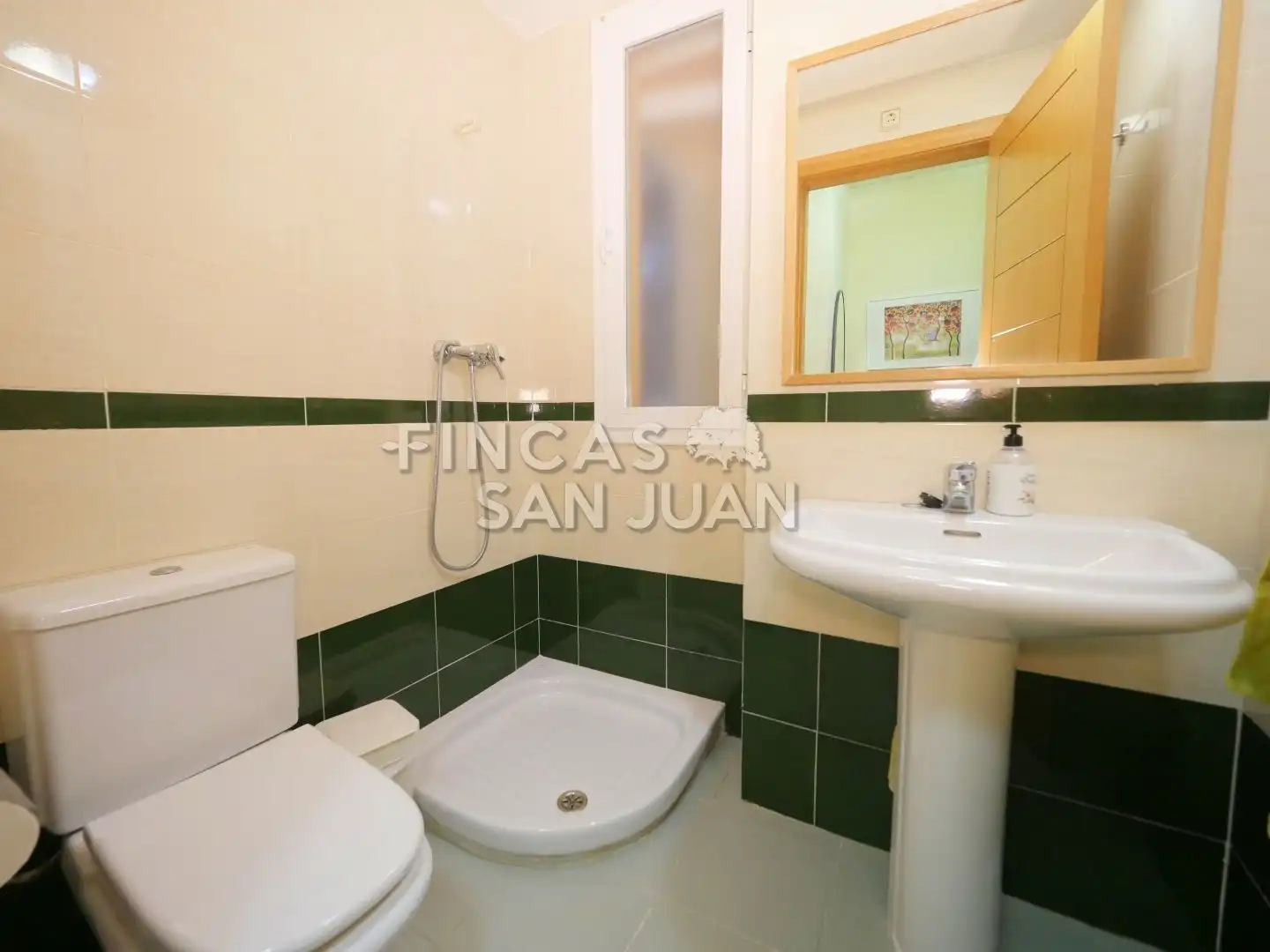 Piso con piscina en venta en Centro, imagen 16