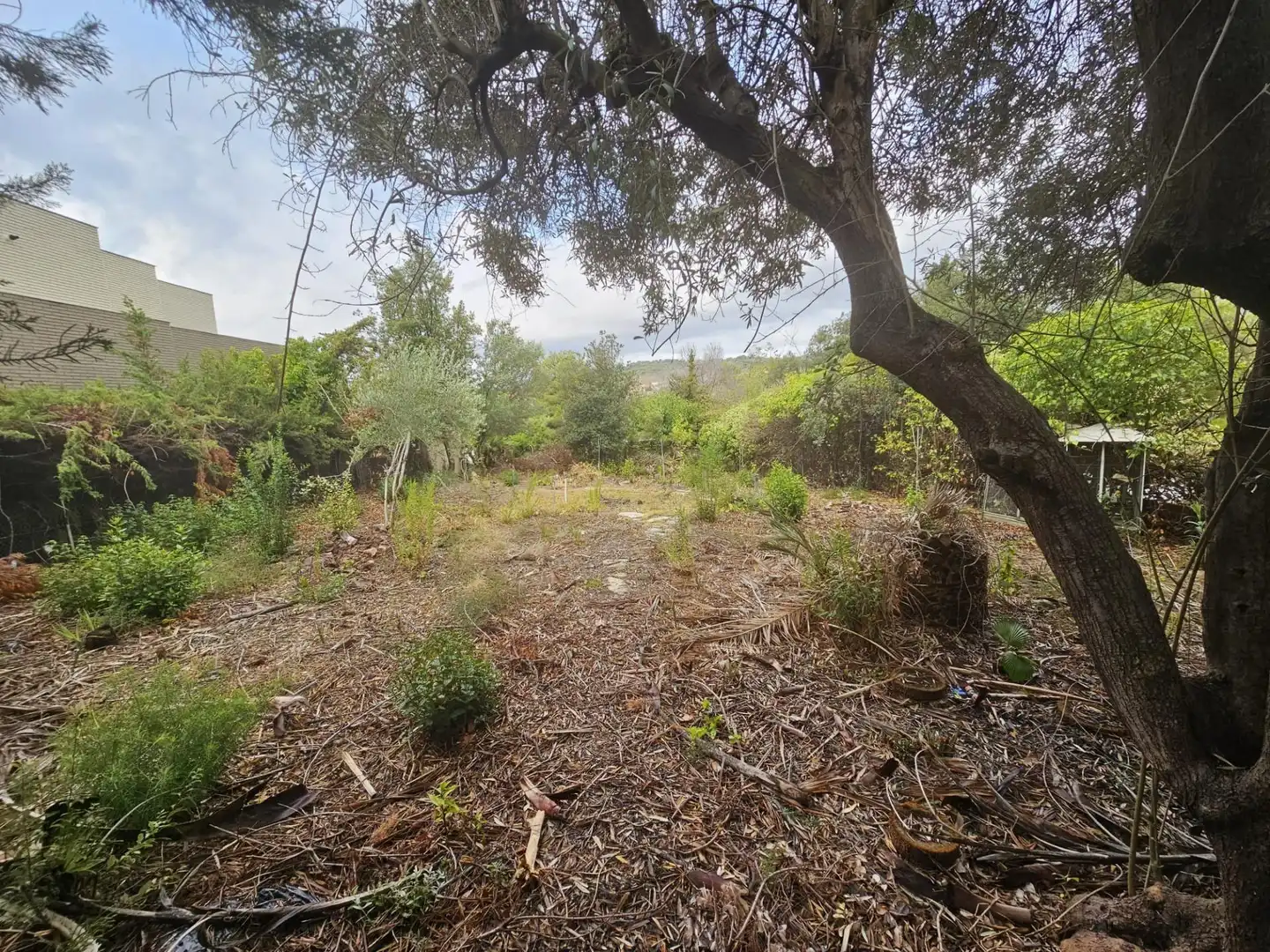 Residential for sale in El Masnou