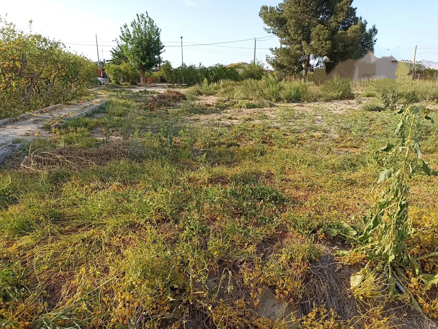 Terrenys i solars en venda a Diseminado Camino Viejo Orihuela 54, imagen 9