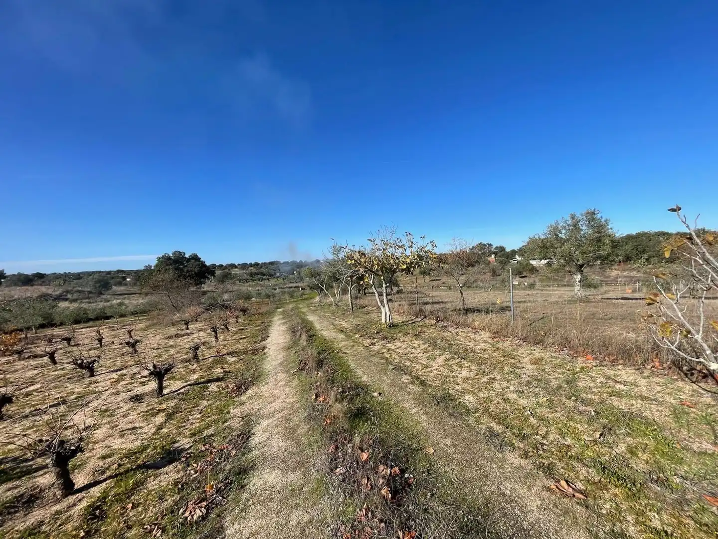 Casa o chalet en venta en Arroyo de la Luz con Amueblado