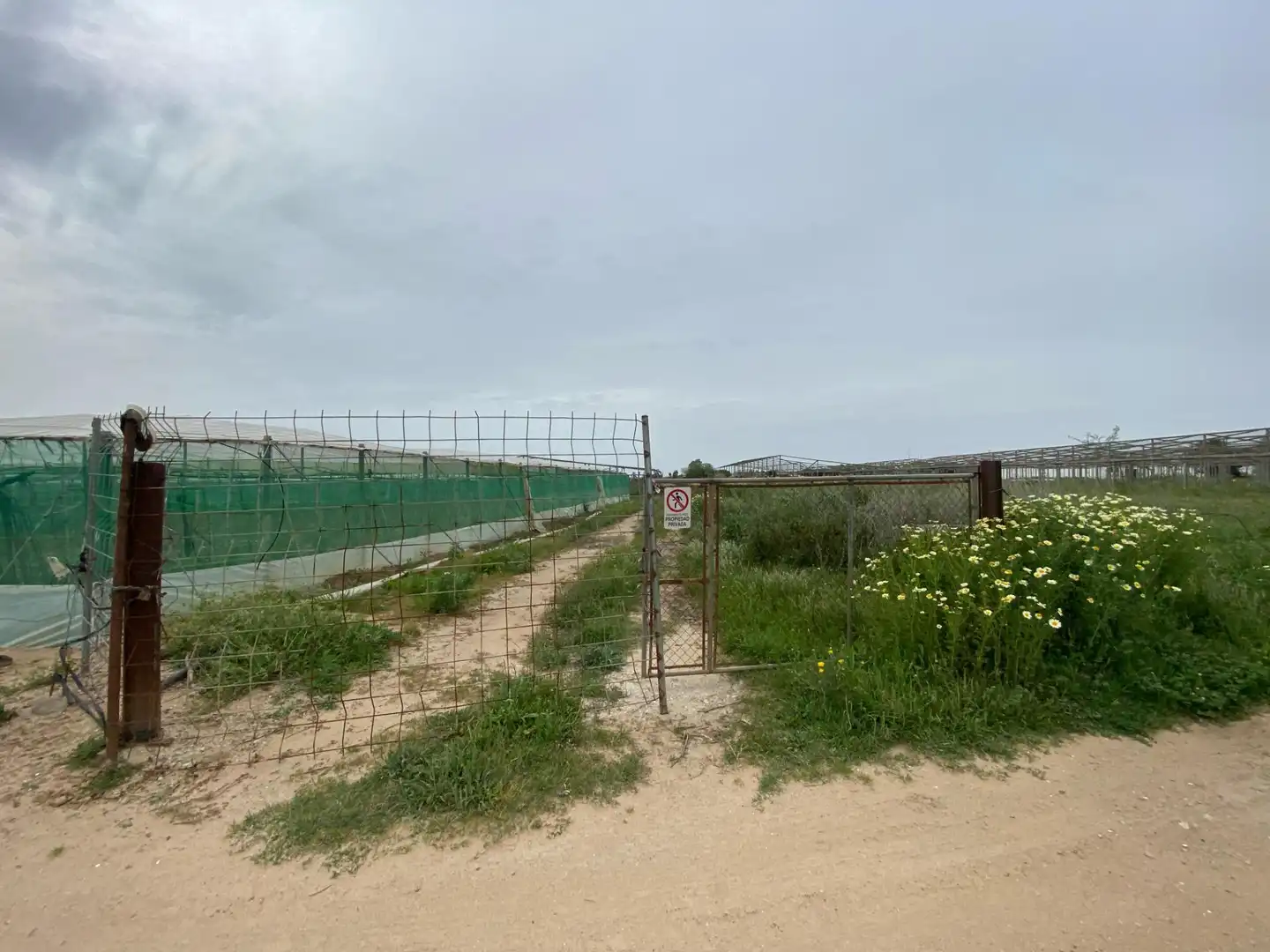 Terreno rustico in vendita a Las Tres Piedras - Costa Ballena, imagen 3