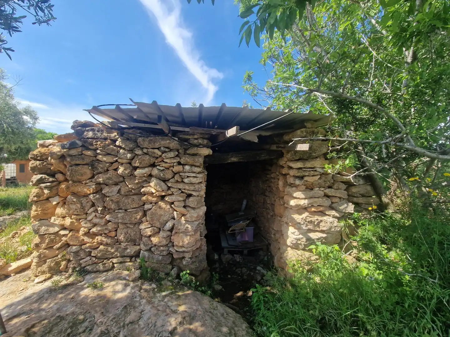 Terreno rustico in vendita a Valls, imagen 13