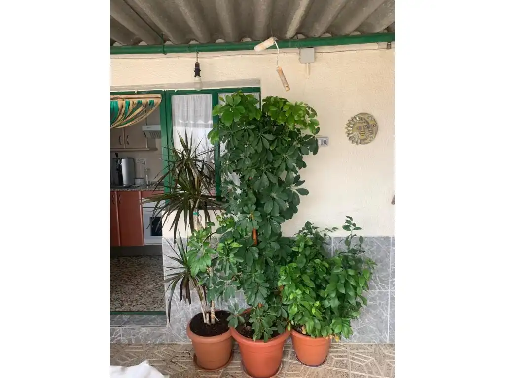 Jardí de Casa o xalet en venda en Puertollano