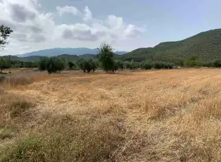 Terreny en venda en Vélez-Rubio