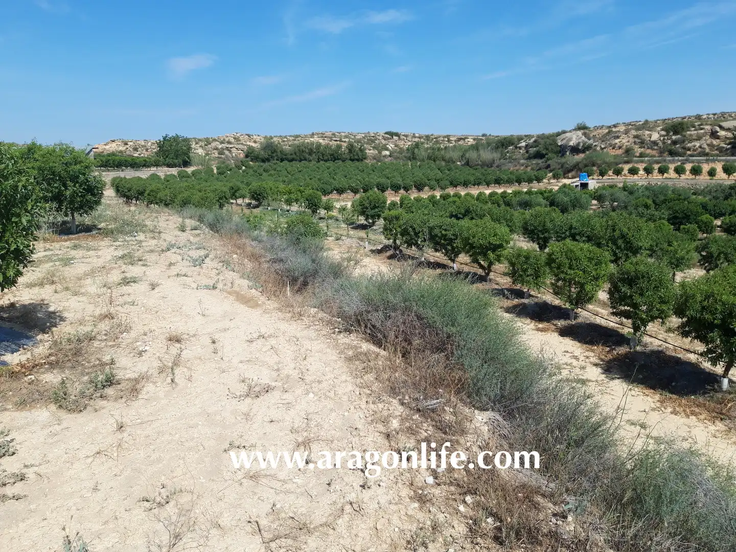 Finca rústica en venta en Caspe con Amueblado