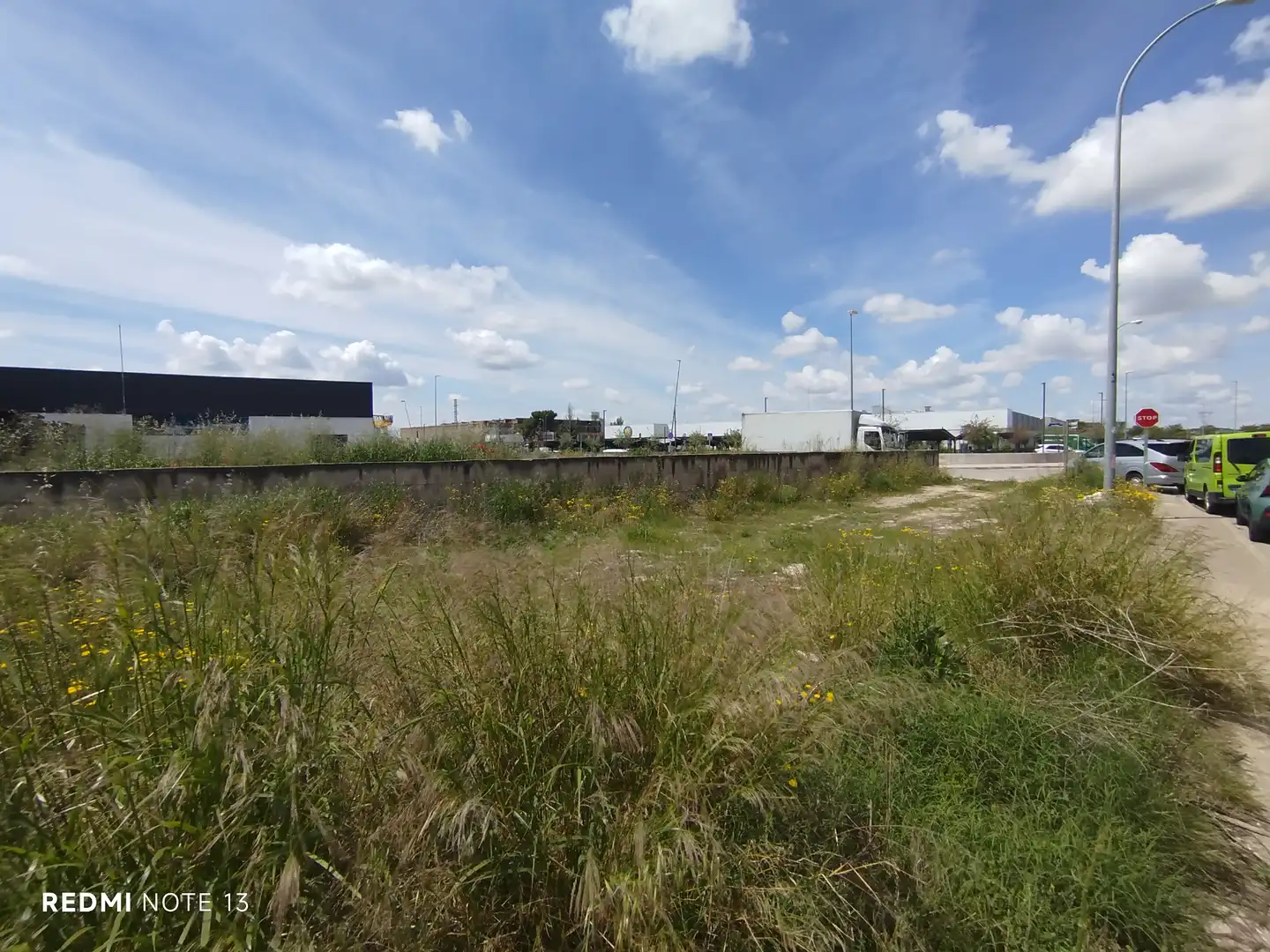 Industriegebäude zum Verkauf in Zona Industrial Borreguno-Camporrosso, imagen 14