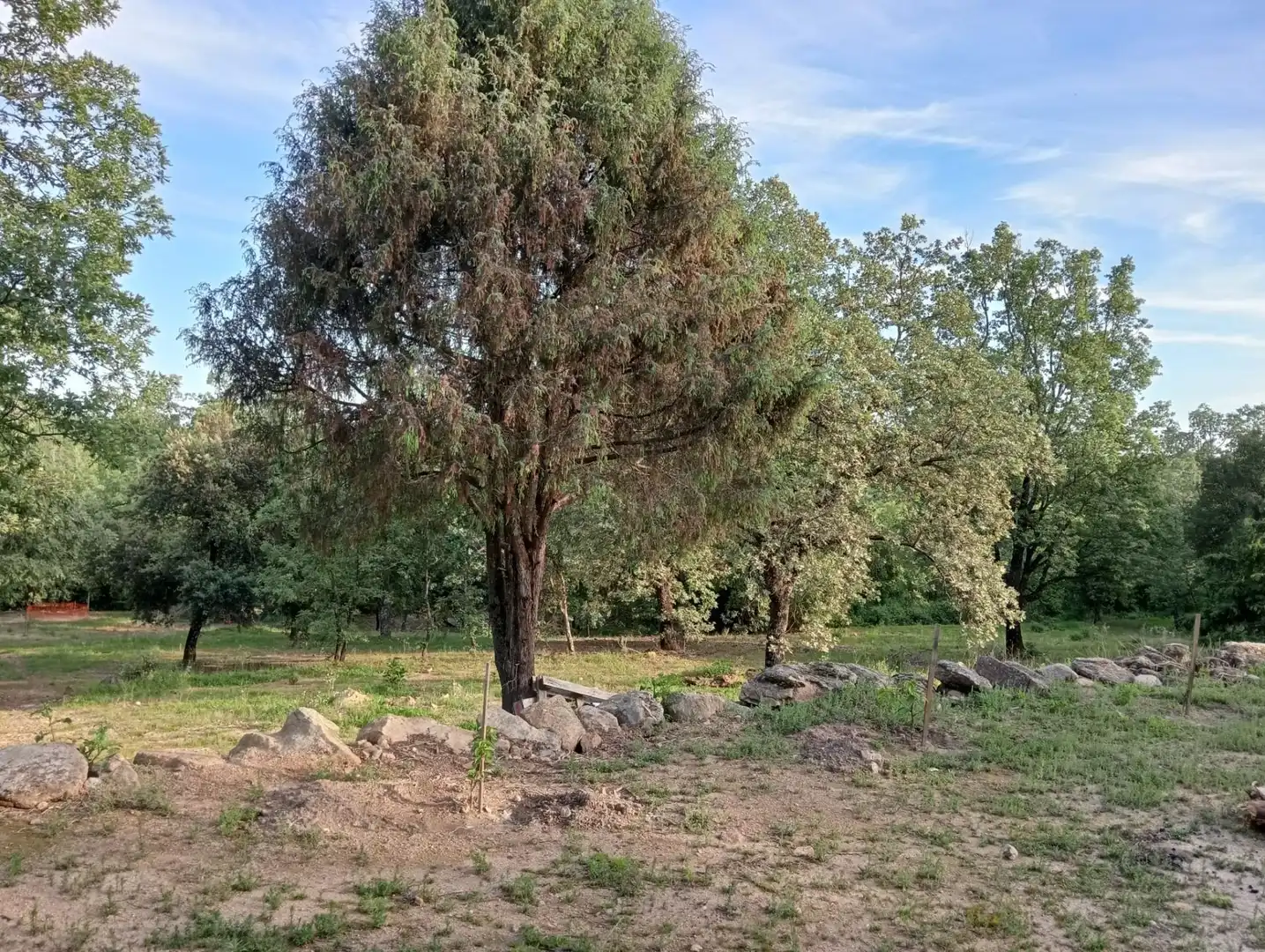 Terreno en venta en Villanueva de la Vera