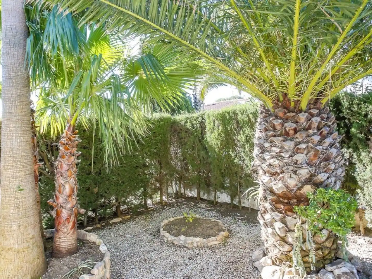 Jardín de Casa o chalet en venta en Deltebre con Aire acondicionado, Trastero y Balcón