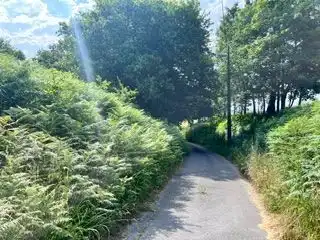 Lands and plots for sale in Santa María de Getxo, imagen 6