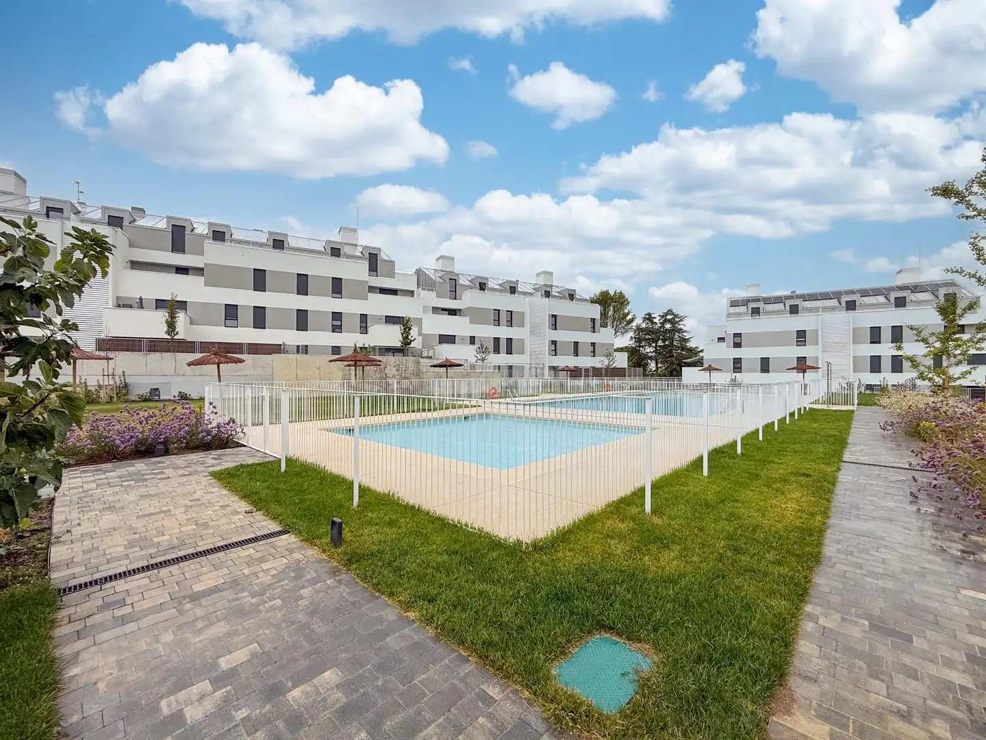 Swimming pool of Flat for rent in Cobeña, Madrid