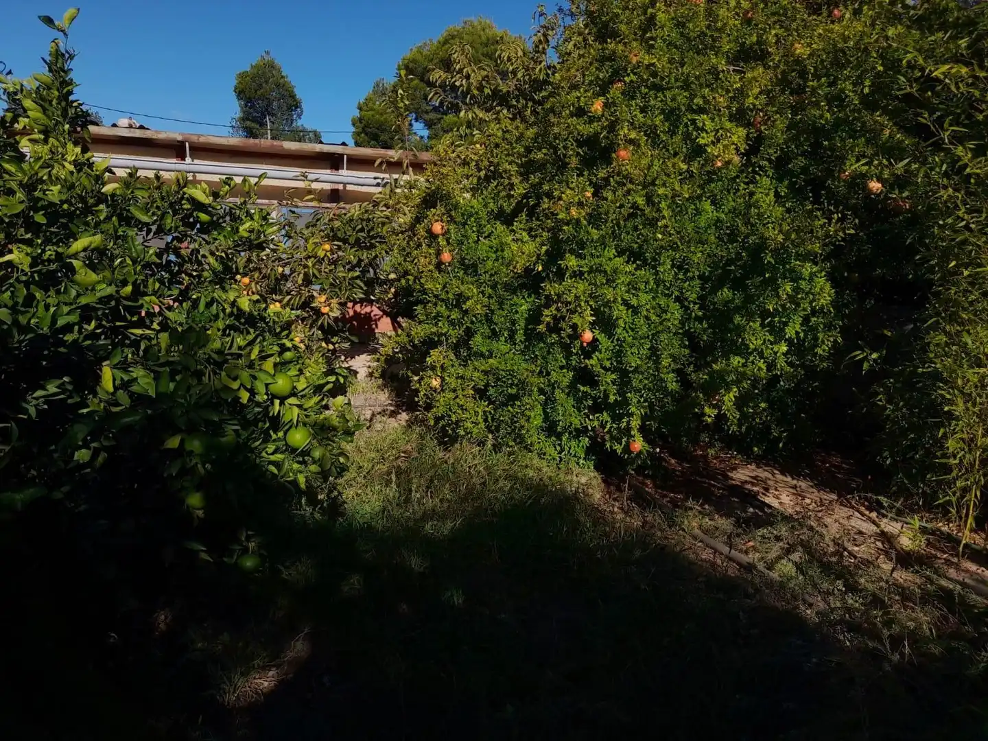 Jardí de Casa o xalet en venda en Flix amb Jardí privat, Terrassa i Traster